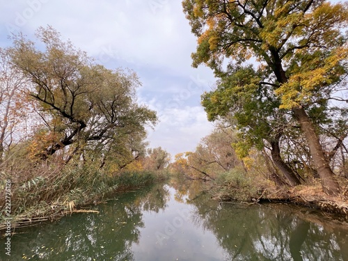 Golden autumn in the floodplain forest of the Dniester Delta.