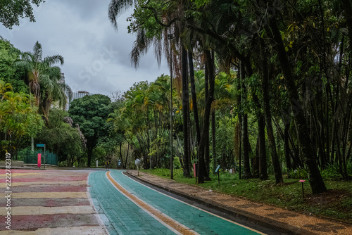 Parque Municipal Américo Renné Giannetti - Belo Horizonte, MG, Brasil