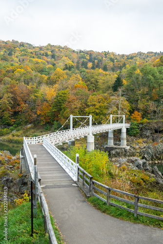 紅葉の神居古潭