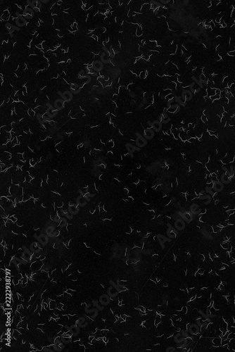 Black old paper with white spiderweb cracks grunge overlay texture, hairline net style on black background