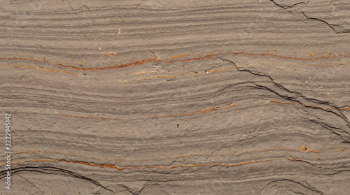 Layered sedimentary rock surface with thin orange mineral oxidation veins