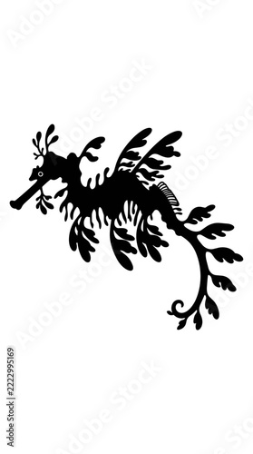 Silhouette of a Leafy Sea Dragon underwater.