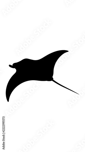Silhouette of a manta ray swimming gracefully in the ocean.