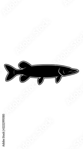 Silhouette of a Northern Pike fish swimming 1.