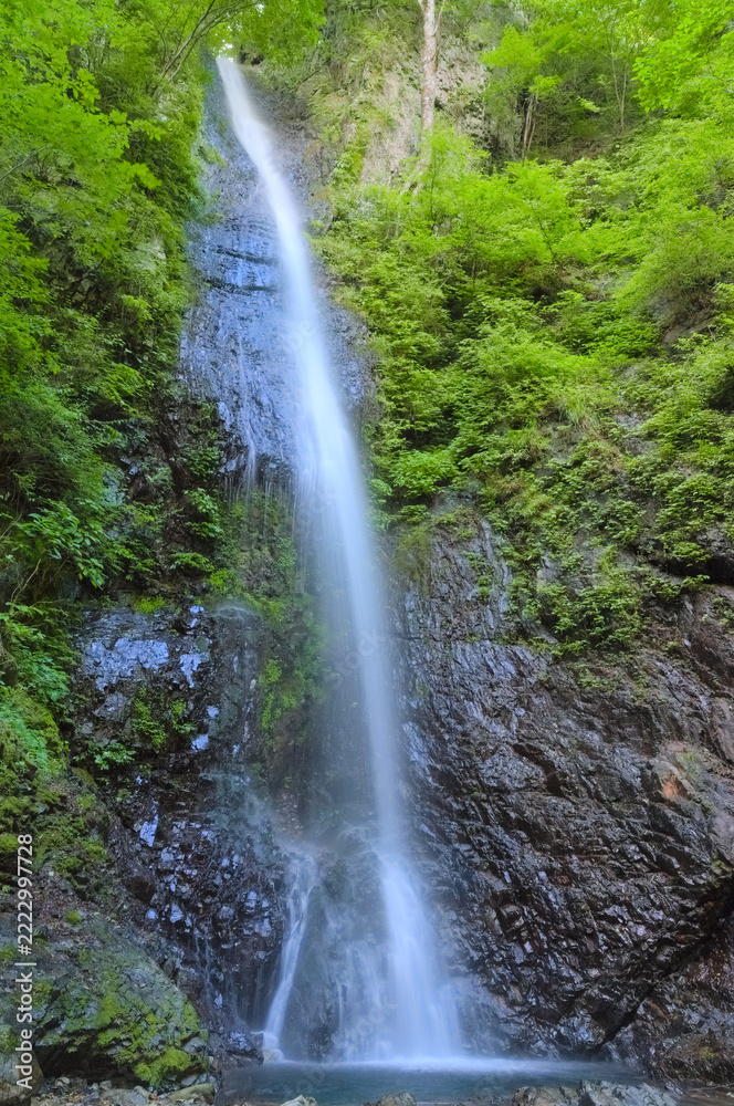 Fototapeta premium 山梨県小菅村、小菅川枝沢にかかる白糸の滝