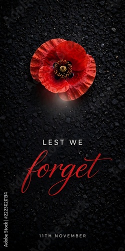 Remembrance day poppy flower on dark asphalt background with lest we forget text