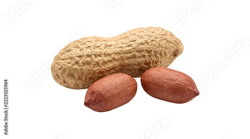 Obraz na plátně Raw shelled and unshelled peanuts for healthy snack food, organic groundnut kern