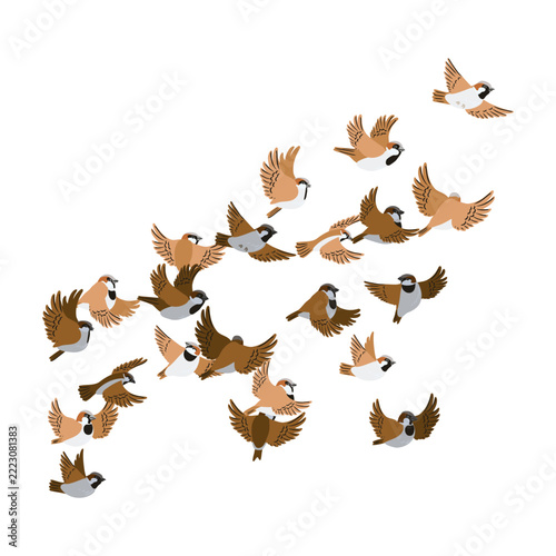 vector drawing flying birds, flock of sparrows, hand drawn illustration, isolated nature design elements