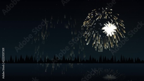 Golden Willow Fireworks Lake