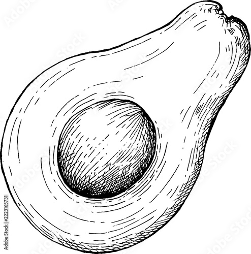 half avocado with seed hand drawn sketch illustration