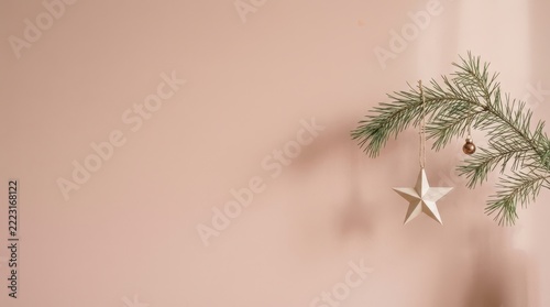 Minimalist winter holiday background showcasing a single evergreen pine branch with a hanging white paper star ornament and a small glossy bauble against a solid pastel pink wall