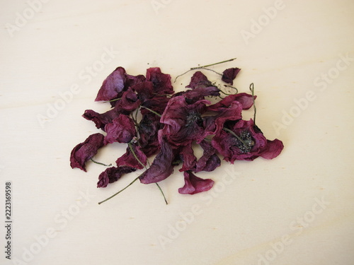 Dried red poppy flowers