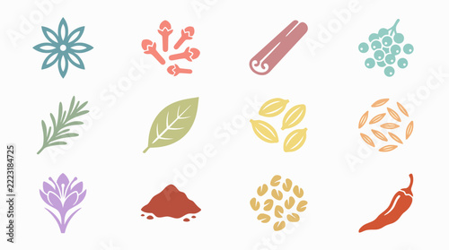 Variety of herbs and spices collection.