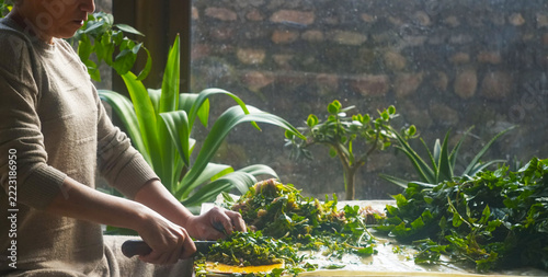 Woman cutting fresh spinach for traditional Uzbek green somsa.