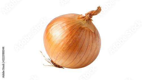 Whole fresh yellow onion bulb raw organic healthy vegetable crop isolated on transparent background