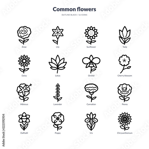 Common flower icons collection in outline black style