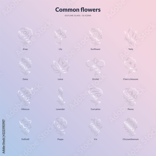 Common flower icons collection in outline glass style