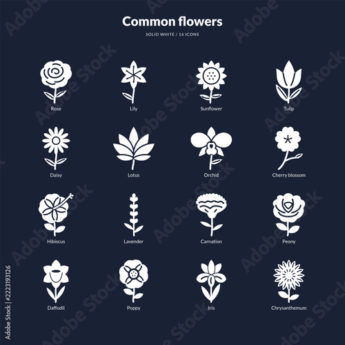 Common flower icons collection in solid white style