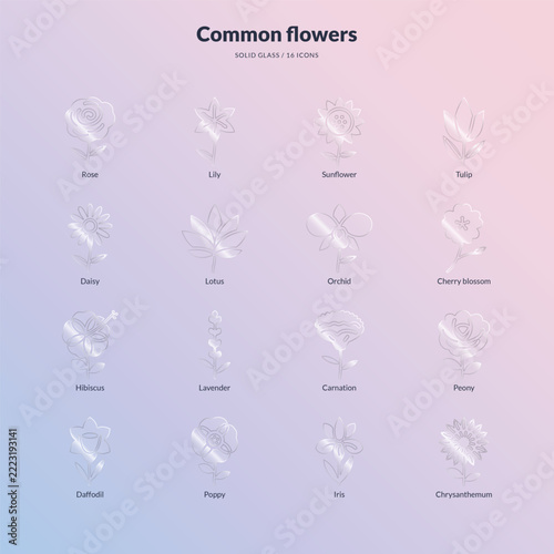 Common flower icons collection in solid glass style