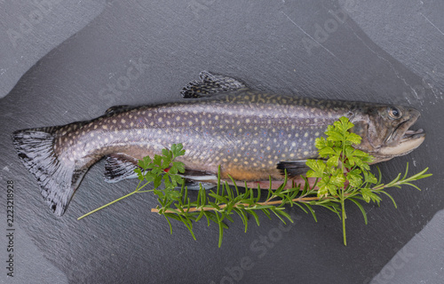 Saibling, Fisch, Kochen, grillen, Kräuter, gesund, seesaibling.
