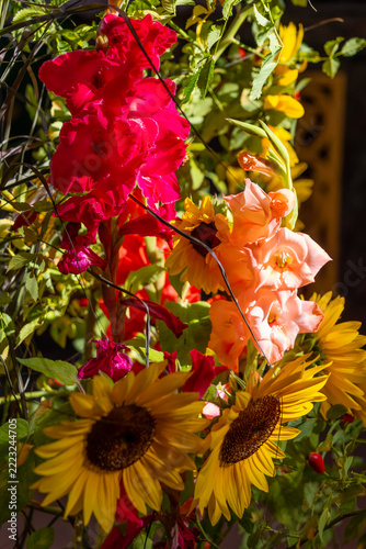 Bright flowers are arranged with sunflowers in a garden setting during daylight hours