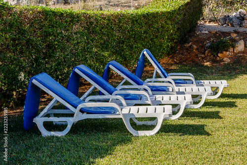 Blue and White Sunbeds on Lawn by Hedge