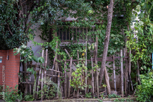 Overgrown trees frame an abandoned, rusty gate