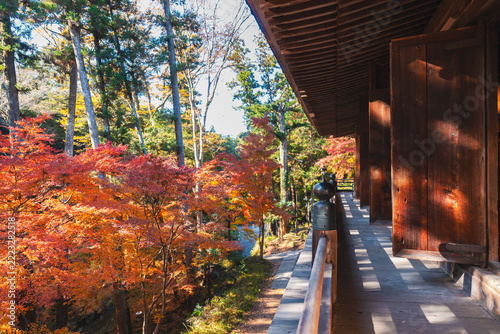 滋賀県の石山寺の美しい紅葉の写真
