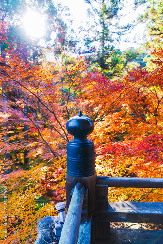 滋賀県の石山寺の美しい紅葉の写真