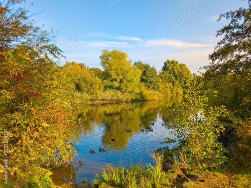 Für einen herbstlichen Spaziergang direkt in und um Hannover-Bemerode bieten sich im goldenen Oktober wunderbare , farbenfrohe Einblicke in Die Natur.
