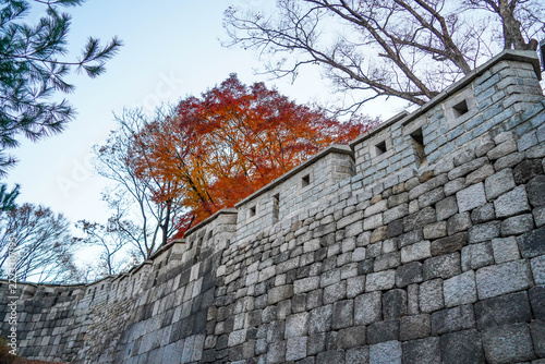 Seoul City Wall with red autumn foliage