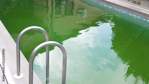 Dirty Green Swimming Pool Full of Algae in Backyard Garden