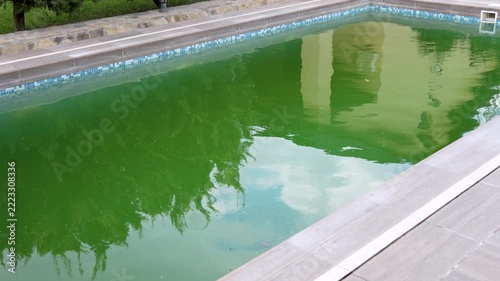 Dirty Green Swimming Pool Full of Algae in Backyard Garden