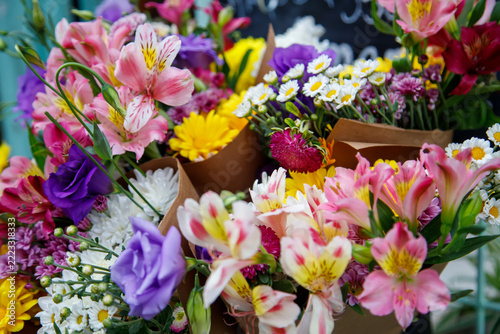 colorful spring flowers