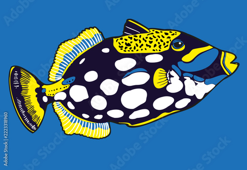 Pesce colorato