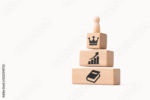 Career Growth with Wooden Figure on Pyramid of Professional Development