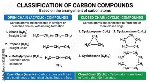 Educational chart showing classification of carbon compounds into