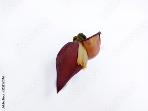 Fresh banana blossom isolated on white background