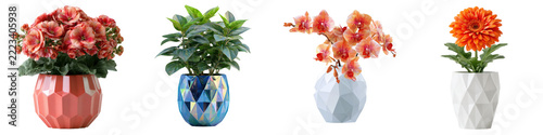 Colorful blooming flower plant pot arrangement decorative isolated object on transparency background with realistic foliage and faceted container