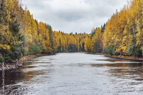 River in autumn forest.