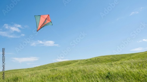 Vibrant Kite Soaring Over Lush Green Meadow on Sunny Day