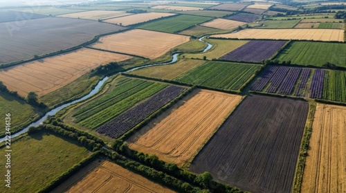Aerial Drone View of Patchwork Agricultural Fields and River