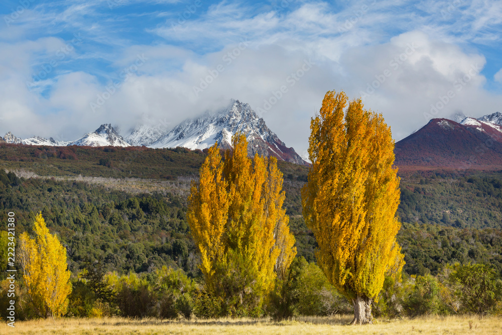 Fototapeta premium Autumn in mountains