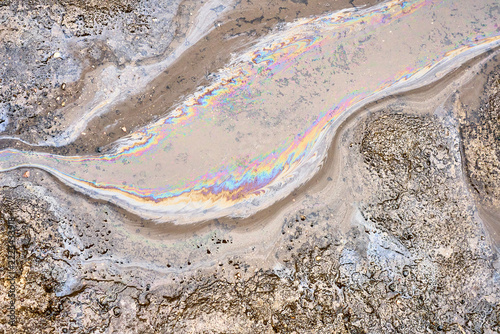 Colorful oil film lies across rain soaked pavement, its reflective surface creating environmental texture. Iridescent bands contrast with gritty asphalt and pooled water in abstract pattern.