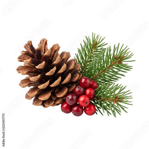 Christmas Pinecone with Red Berries and Evergreen Sprig Transparent Background PNG