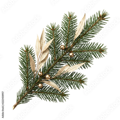 Premium Gold Botanical Evergreen Sprig with Metallic Berries Transparent Background PNG