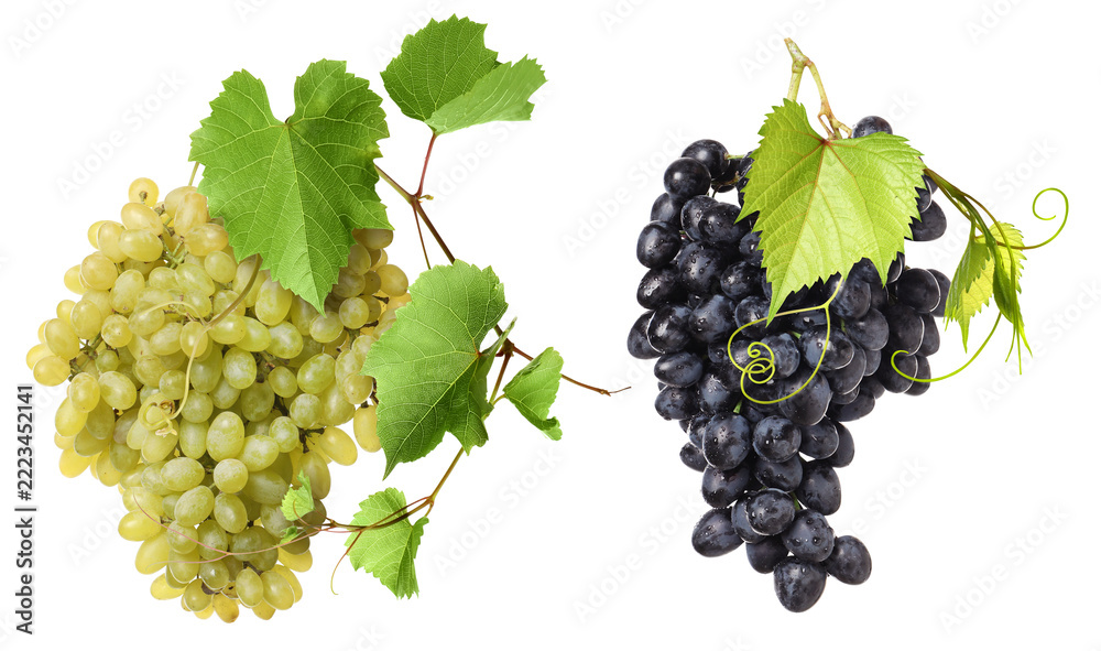 Fototapeta premium Bunches of fresh grapes against transparent background. Different varieties