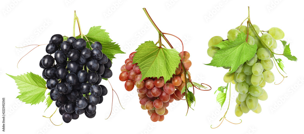 Fototapeta premium Bunches of fresh grapes against transparent background, set. Different varieties