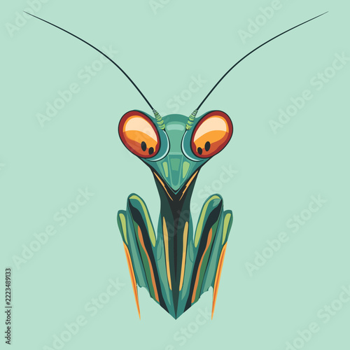 Stylized praying mantis insect illustration