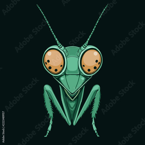 Cartoon praying mantis insect creature illustration